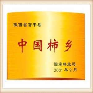 新上市陕西富平柿饼独立包装柿子饼2斤礼盒装软糯甘甜产地直供包邮