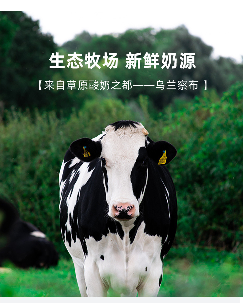 详情页demo01(1)_08