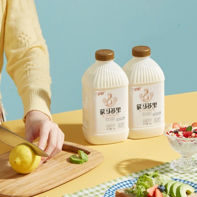 兰格格蒙古炭烧熟酸奶蒙马苏里乳酪低温酸奶1kg组合装
