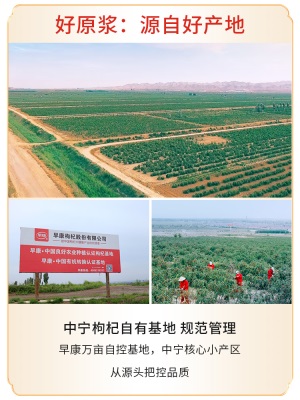 早康杞维康鲜枸杞原浆  宁夏中宁枸杞汁 直接喝的鲜枸杞30ml*10袋