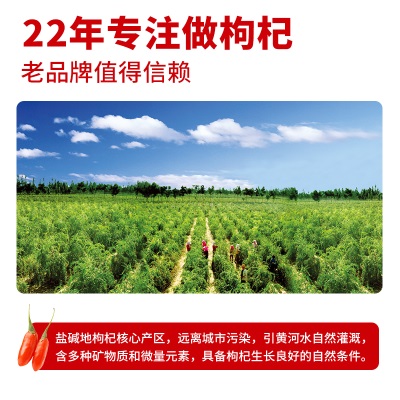 早康菊花枸杞原浆宁夏菊花枸杞原液鲜枸杞15ml*15袋官方旗舰店