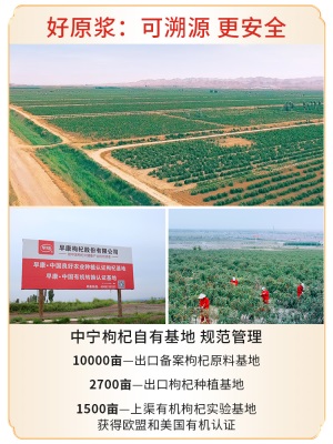 【月套餐】早康鲜枸杞原浆杞维康宁夏中宁30ml*30袋 每天1袋枸杞