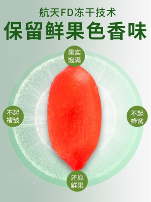 早康FD锁鲜枸杞  正宗中宁冻干枸杞鲜果  宁夏枸杞子独立小包32g