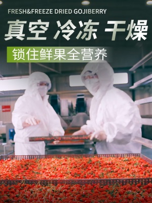 早康锁鲜即食枸杞  正宗中宁冻干鲜枸杞  宁夏枸杞独立小包装60g