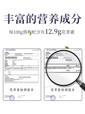 早康青海黑枸杞礼盒 柴达木大果黑苟杞子 手工精选免洗枸杞子50g