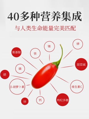 早康枸杞原浆家庭装 道地宁夏中宁枸杞汁 便携枸杞礼盒450ml*6盒
