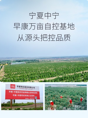 早康枸杞原浆家庭装 道地宁夏中宁枸杞汁 便携枸杞礼盒450ml*6盒