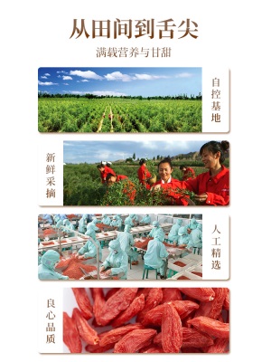 早康特优宁夏枸杞 大颗粒无熏染枸杞子 正宗中宁特产开袋即食500g