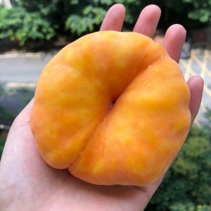 产地直发山东蒙阴5斤装黄金蟠桃