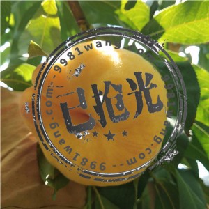 产地直发山东蒙阴5斤装黄金蟠桃