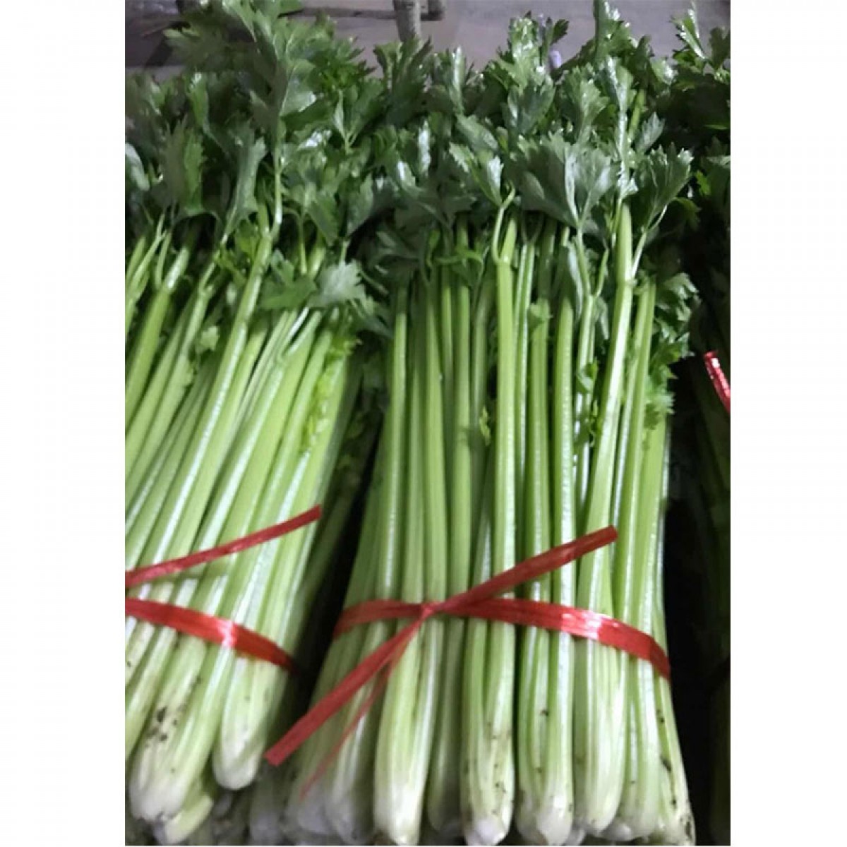 西芹-门店自提、配送到家