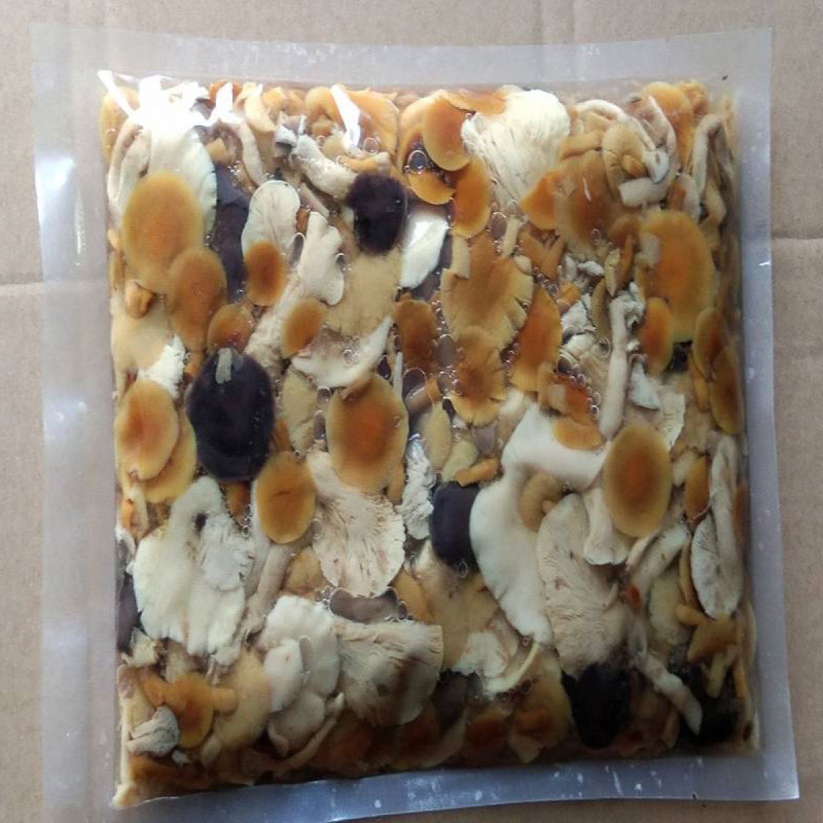 水蘑菇-门店自提、配送到家