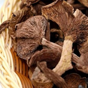 野山菌-门店自提、配送到家