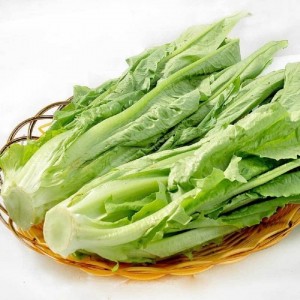 生菜-门店自提、配送到家
