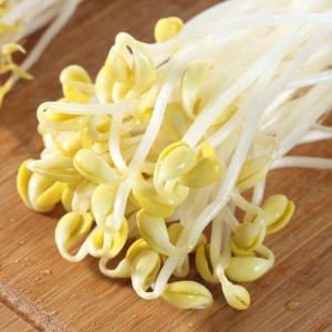 黄豆芽-门店自提、配送到家