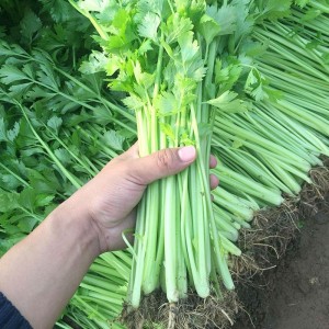 细药芹-门店自提、配送到家