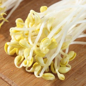 黄豆芽-门店自提、配送到家