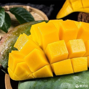 5斤仅需30元 —— 单果400-800克，让吃芒果就像啃西瓜一样爽！！！