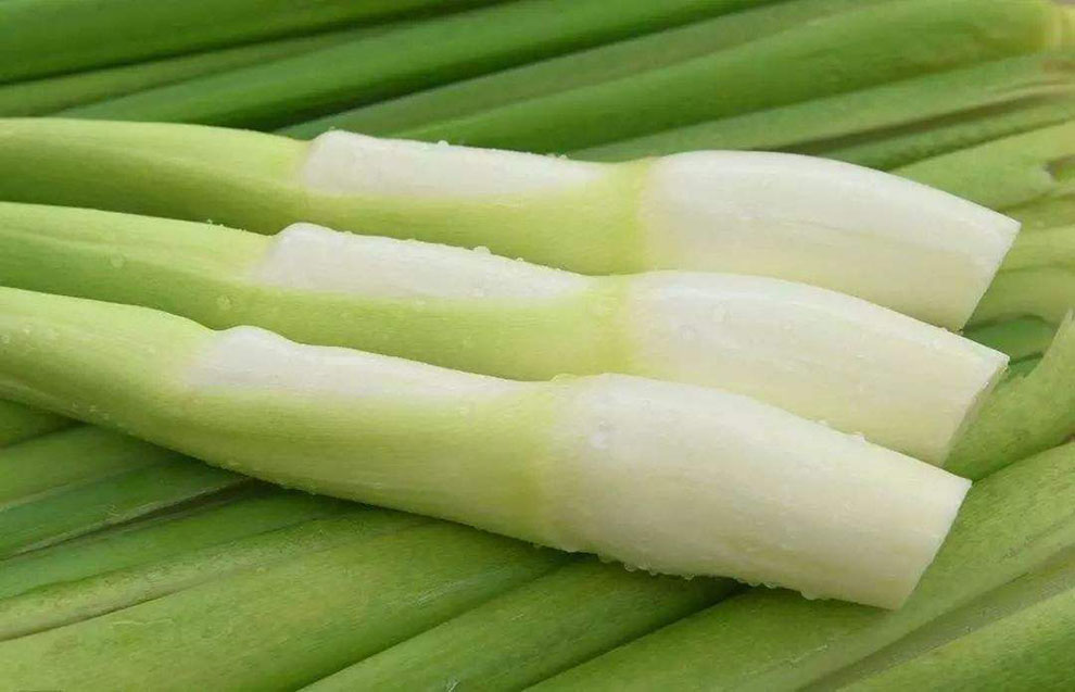 茭白1.jpg